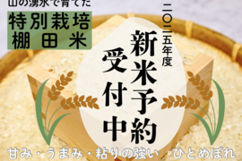 蓮武ママ お米『ひとめぼれ 20kg』R3年新米/5kg×4/ お米【ひとめぼれ 30kg玄米】R3年新米/5kg×6
