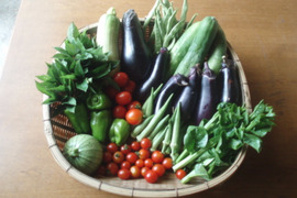 御歳暮用　野菜セットＬ　在来種・固定種・不耕起草生無肥料無農薬
