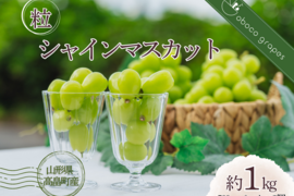 【粒商品】取り分けいらず！約２房分が粒になったシャインマスカット！（２パック・合計約１kg）