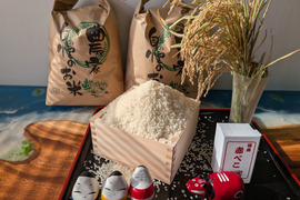 会津米　ひとめぼれ　中米　5㎏　（白米）