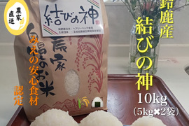【新米】緑肥で栽培「結びの神」精米5㎏×2袋