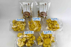 【食べチョク限定】たもぎ茸セット《フレッシュキノコ5袋＋乾燥品2袋》