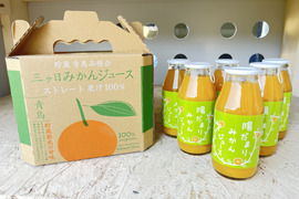 【手提げ箱入り6本セット】 三ヶ日みかんジュース 　180ml×6本