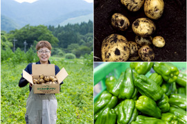 【１人１回だけの特別価格】ピーマンとじゃがいも(きたあかり)セット！　キタアカリ
