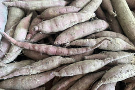 【訳あり】有機JAS認証さつまいも2kg