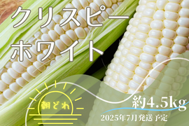 【白いとうもろこし予約販売】2025年発送
希少種クリスピーホワイト 4.5kg