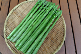 白馬村から春の訪れ　アスパラガス500ｇ