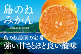 クリスマス限定セール！みかん 島のね農園【愛媛みかん/木成り完熟/5kg】 3420円→1480円