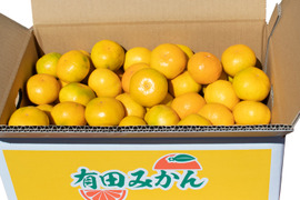 コク甘!糖度平均13度超えの有田みかん(由良わせ) 10kg