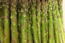 雲仙岳のふもと、南島原産　甘味たっぷり夏アスパラガスLサイズ1kg