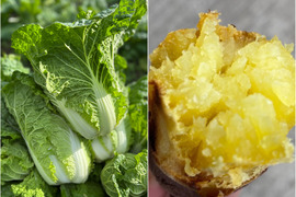 「ミニ白菜２玉とべにはるか３kg」霜降り白菜とあまいお芋。兵庫県但馬産。