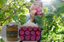 【福袋】サンふじ約2キロ＆無添加・低糖りんごジャム2本【配達日指定可】JA基準より60％減の低農薬栽培