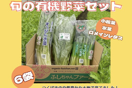 茨城県産！有機野菜3種6袋！有機JAS認定！すっぴん小松菜水菜ロメインセット(6袋)【冷蔵便】