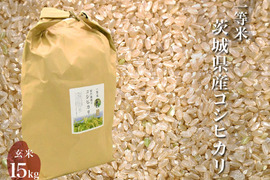 令和4年 噛めば噛むほど旨味がでてくる茨城県産コシヒカリ 玄米【一等米】【15kg】
