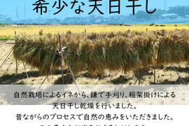 AkariTheCat 自然栽培米 天日干し 玄米 1698450718345_1.jpg