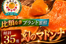 🍊崖上の宇和島ブランド最高傑作🍊ココだけしか食べれないわずか1%の収穫率傾斜35度を誇る絶壁で実る希少なマドンナ☆お試しキャンペーン約1kg🍊贈答用🍊【冬ギフト】【12月上旬予約】