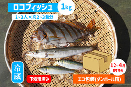 下処理⇒即日発送！ロコフィッシュ鮮魚ボックス1kg【エコ包装】