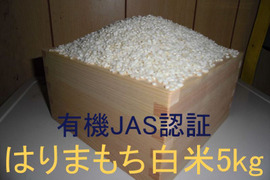 有機JAS認証【農薬不使用「はりまもち」白米5kg】甘くてよく伸びるもち米 2025年兵庫県産「タガメの里・自然米」