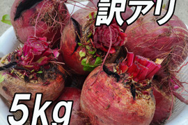 『訳アリ 高糖度ビーツ 5kg』農薬・化学肥料不使用！ 千葉県南房総市産　見た目悪いです♪