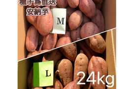 【絶品】種子島産 安納芋 M&L 混合24kg(箱別)