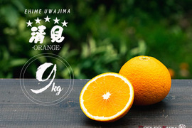 芳醇な香りと果汁あふれる 【清見オレンジ】Aセレクション9kg