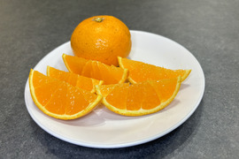 果汁爆弾！溢れる果汁の清見オレンジ【贈答用】1kg