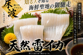 【リピーター続出必至】元料理×漁師の目利きによって完成する逸品🌊天然国産『雷イカ』長州床波ブランお試しキャンペーンお刺身約200g【5月中旬予約】