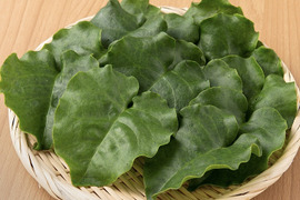 【圧巻の栄養価】雲南百薬(おかわかめ)【2kg】