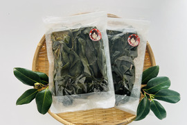 コリコリとした食感　茎わかめ250ｇ×2パック（クリックポスト）