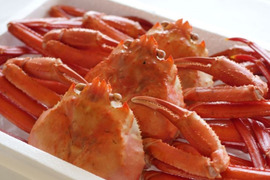 【母の日ギフト】『冷凍』佐渡島直送！浜茹で紅ズワイガニ（1杯400g/3杯）