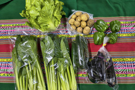 高齢者向け 定番野菜セット 旬の野菜7品　パチャママ農園