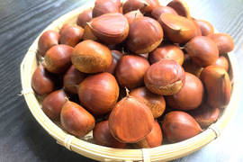 早生 「ぽろすけ」 L・M混合サイズ 約1kg（本州のみ）