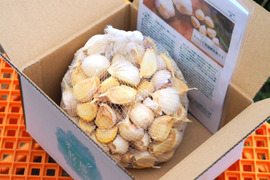 田子町産にんにく１ｋｇ【バラ】