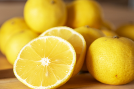 【先着10名様限定！】伊藤農園認定 農家さんの木成り 完熟 黄金柑 訳あり品 2.5kg【5月上旬より発送予定】354-2h