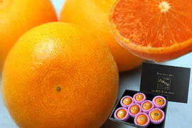 🏆みかん柑橘グランプリ2026最高金賞含む最多４部門受賞の木熟せとか！大感動！樹上完熟させた濃厚な甘みの大トロせとか！とろける甘さと上品な味わい！「木熟せとか」厳選プレミアム　約１ｋｇ【400】