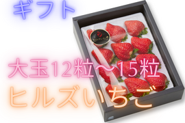 【ギフト】宮城県産「完熟の大玉スターナイト」12粒～15粒ギフト箱入り
