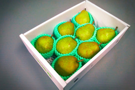贈答用 2kg こだわり栽培  ラ・フランス　8~10玉入り　山形県産ラフランス