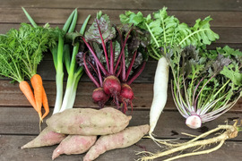 寒さで甘くなった季節の野菜セット（６～７品目）サラダやお鍋にも！
