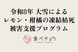 【1口5000円】令和8年大雪によるレモン・柑橘の凍結枯死被害 生産者応援チケット