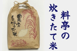 新米＼＼料亭品質／／やーぼの穂々【にこまる😊・長崎県産】4.5kg