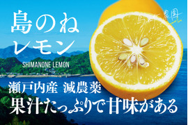 島のねレモン【瀬戸内産/国産/サイズ混合/3kg】