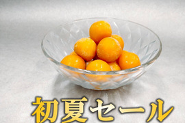🍃初夏セール🍃ひんやり夏のごほうび✨そのまま食べられるフローズンゴールデンベリー＜冷凍 食用ほおずき＞1kg入り（500g×2セット）