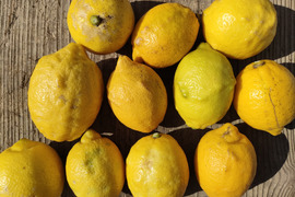 【B品】化学農薬不使用！日本一の国産レモンの生産地がお届けする、瀬戸田産レモン【1kg】