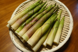 【2024年度分、予約受付中‼️】北海道の山菜、北海道産の天然根曲りたけのこ2kg