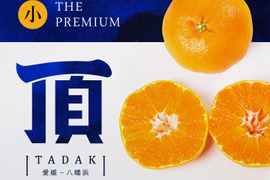 《予約特価》頂みかんプレミアム3ｋｇ×2箱