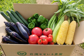 信州の高原より朝採れ新鮮野菜をお届け！！旬の野菜セット７種（レギュラー）