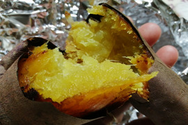 蜜あふれる べにはるか５kg【農薬・化学肥料 不使用】
ファミリー向け