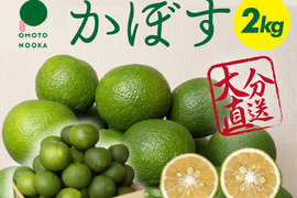果汁たっぷり！鮮度抜群！かぼす 2kg（約18～26個）