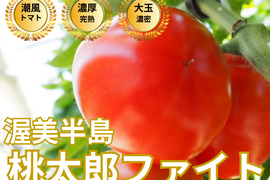 🍅冷えと乾燥が気になる季節に🍅品種指定『桃太郎ファイト』朝の美容と元気をチャージする完熟トマト☆お試しキャンペーン約1kg【11月上旬予約】