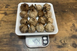 29 自然栽培　黒にんにく 人気　サイズいろいろたっぷり16個　令和4年度新物　食べやすくて美味しい